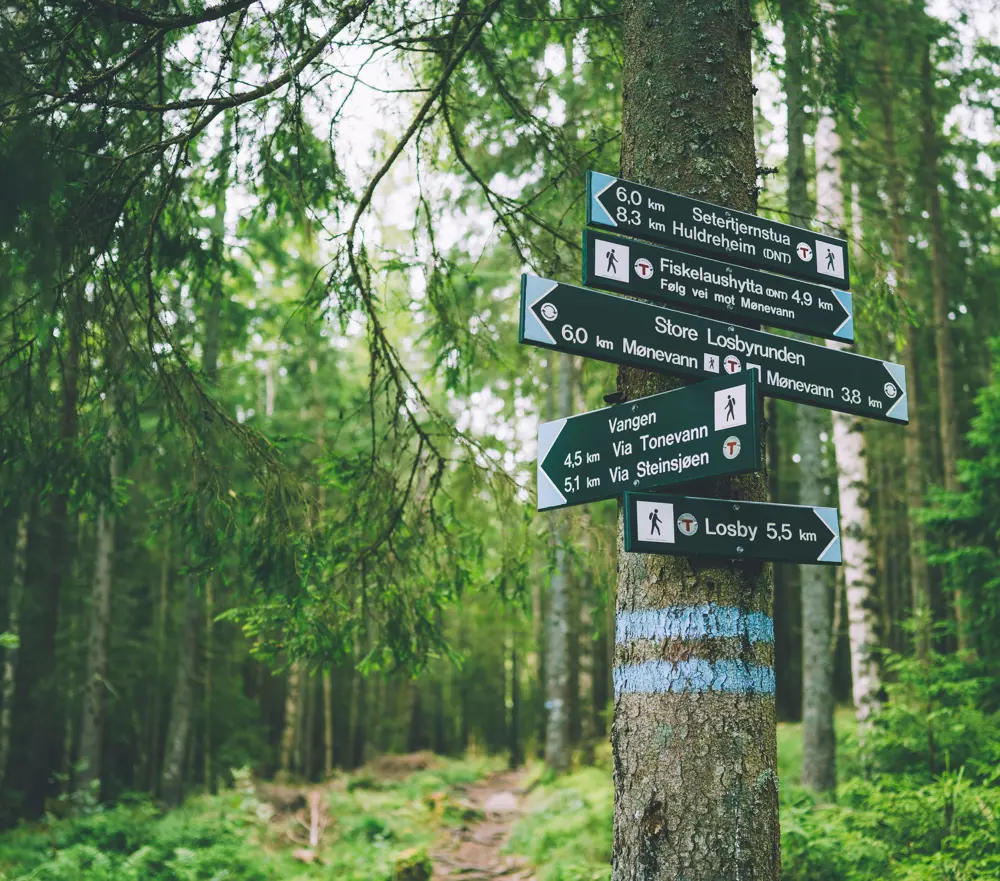 Røyrivannskoia og Stallen i Østmarka.  Røyrivannskoia og Stallen i Østmarka. Kan nås med kano fra Losby.