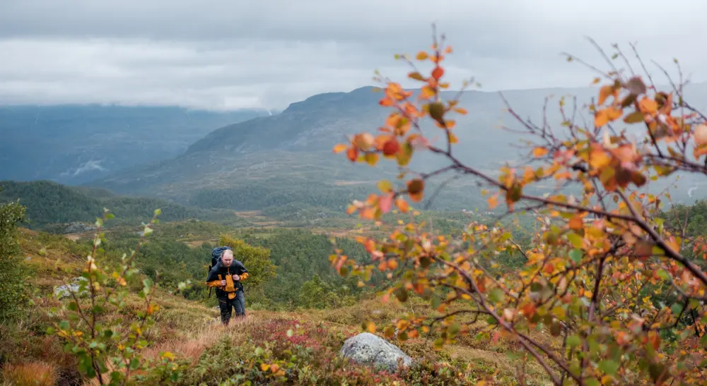 Bilder fra stien mellom Bleskestadmoen og Jonstølen i Suldalsheiene. Høstfarger, høst, støl, seter, Ryfylke. Marius Dalseg på bildene.