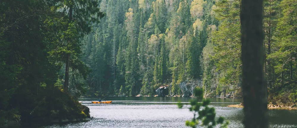 Østmarka. Mai 2021.