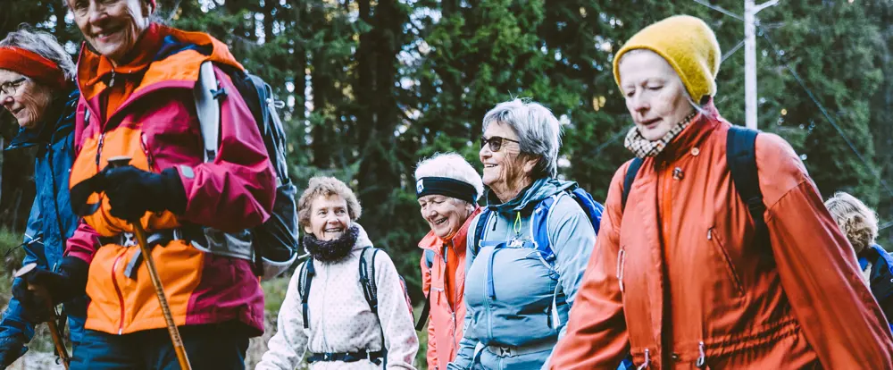 Gjeng seniorer på tur i skogen