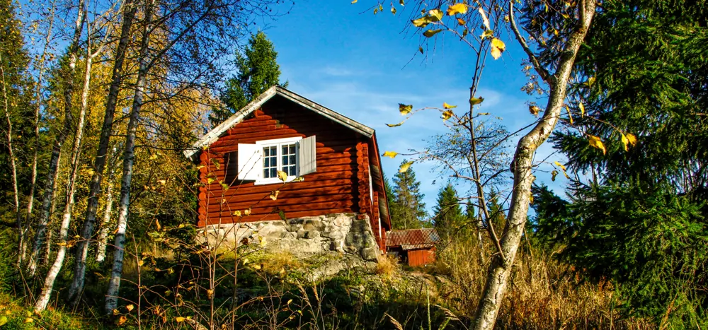 Krokskogen og Mørkgonga