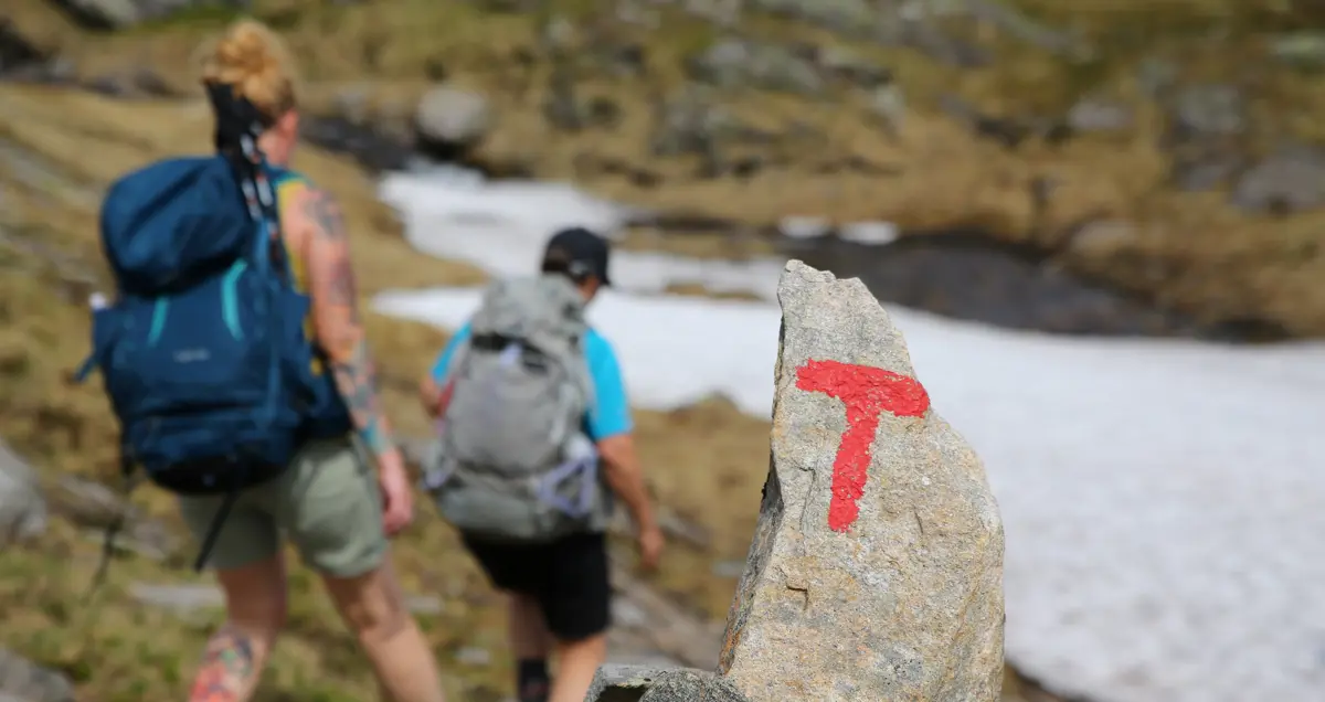 Tur i Masfjorden fra Furebotn til Haugsvær, juni 2020.