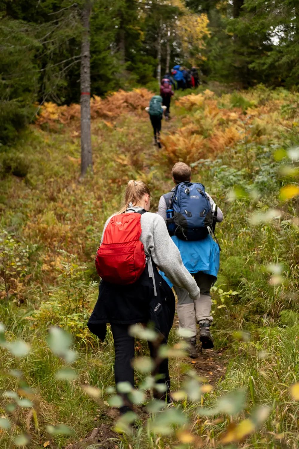 Bilder fra Nordmarka på langs med DNT ung Oslo. 

Tatt av frivillig i fotogruppa til DNT ung Oslo.