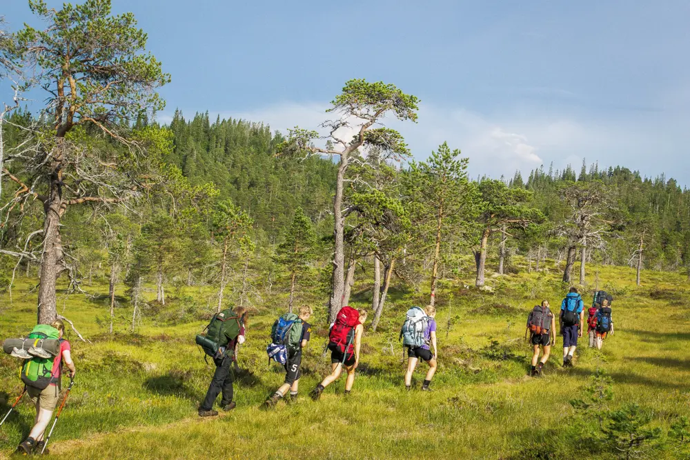 Norge på Tvers med DNTung Trøndelag 2014