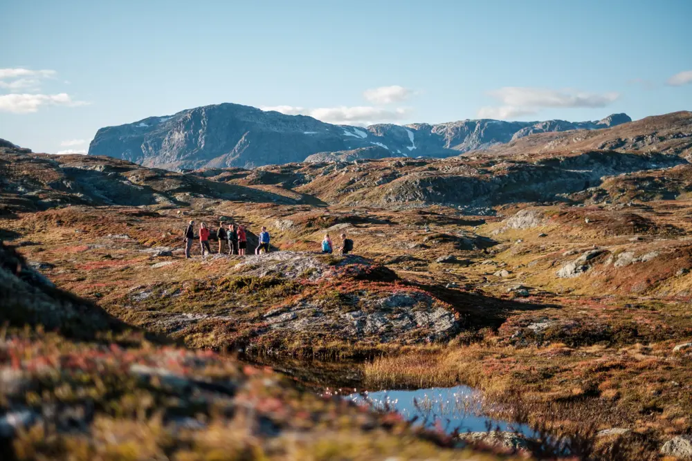 Høst ved Haukeliseter, bilder fra tur rundt Venaretjønn, på norsiden av hytta.