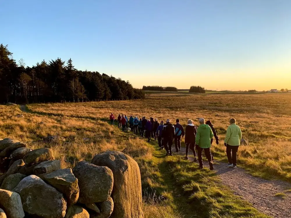 Mange mennesker går på tur mot en skog i flatt landskap mens solen er på vei ned