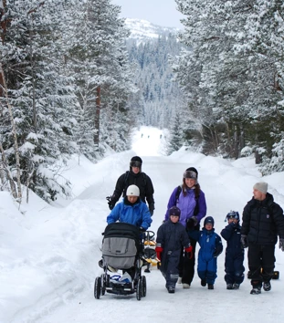 Fire voksne, tre barn, og en barnevogn, kommer gående mot oss langs en vei gjennom skogen, midt på vinteren. Alle er kledd for aktiviteter i snøen- 