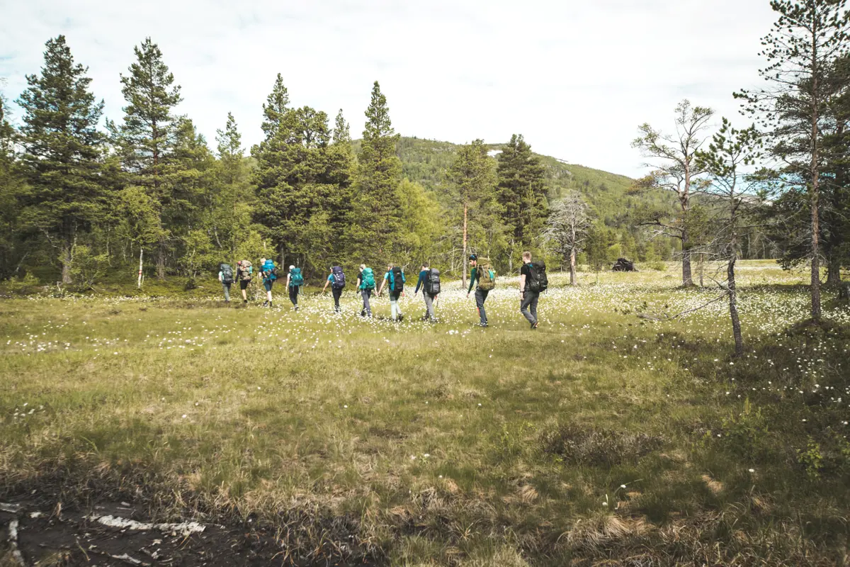 En åpen eng, med ti personer på tur som går på rekke mellom to skogholt, midt på bildet. 