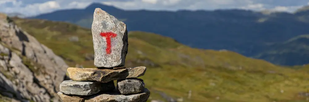 Rødmalt T på varde i fjellheimen.