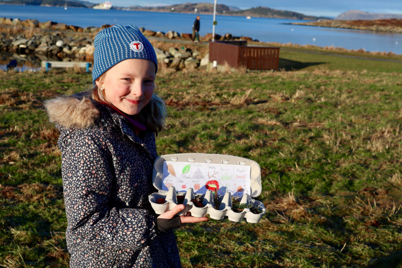 Et barn holder en eggekartong hvor hun samler på små skatter i naturen.