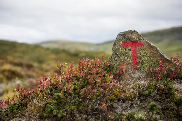 Varde i Stølsheimen. Ca en kilometer fra Åsedalen.