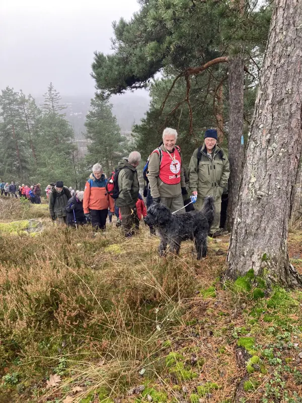 Lavterskelgruppa på tur i Gulsetmarka.