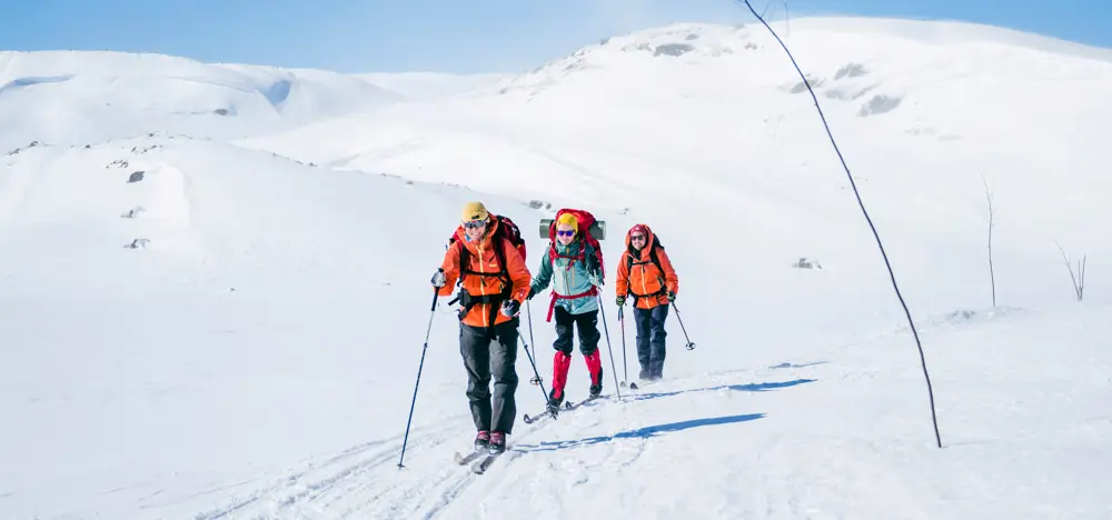 Tre personer som går på fjellski innover vidda