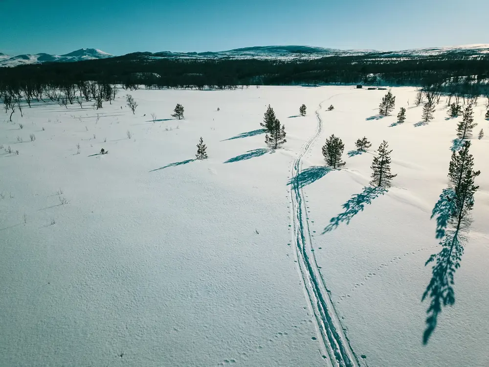 Godt med plass for nydelige skiturer i Femundsmarka