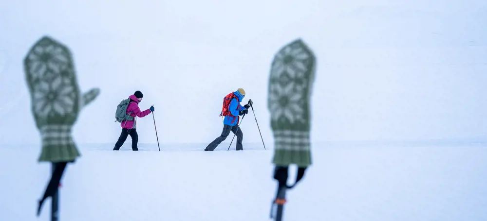 personer som går på ski.