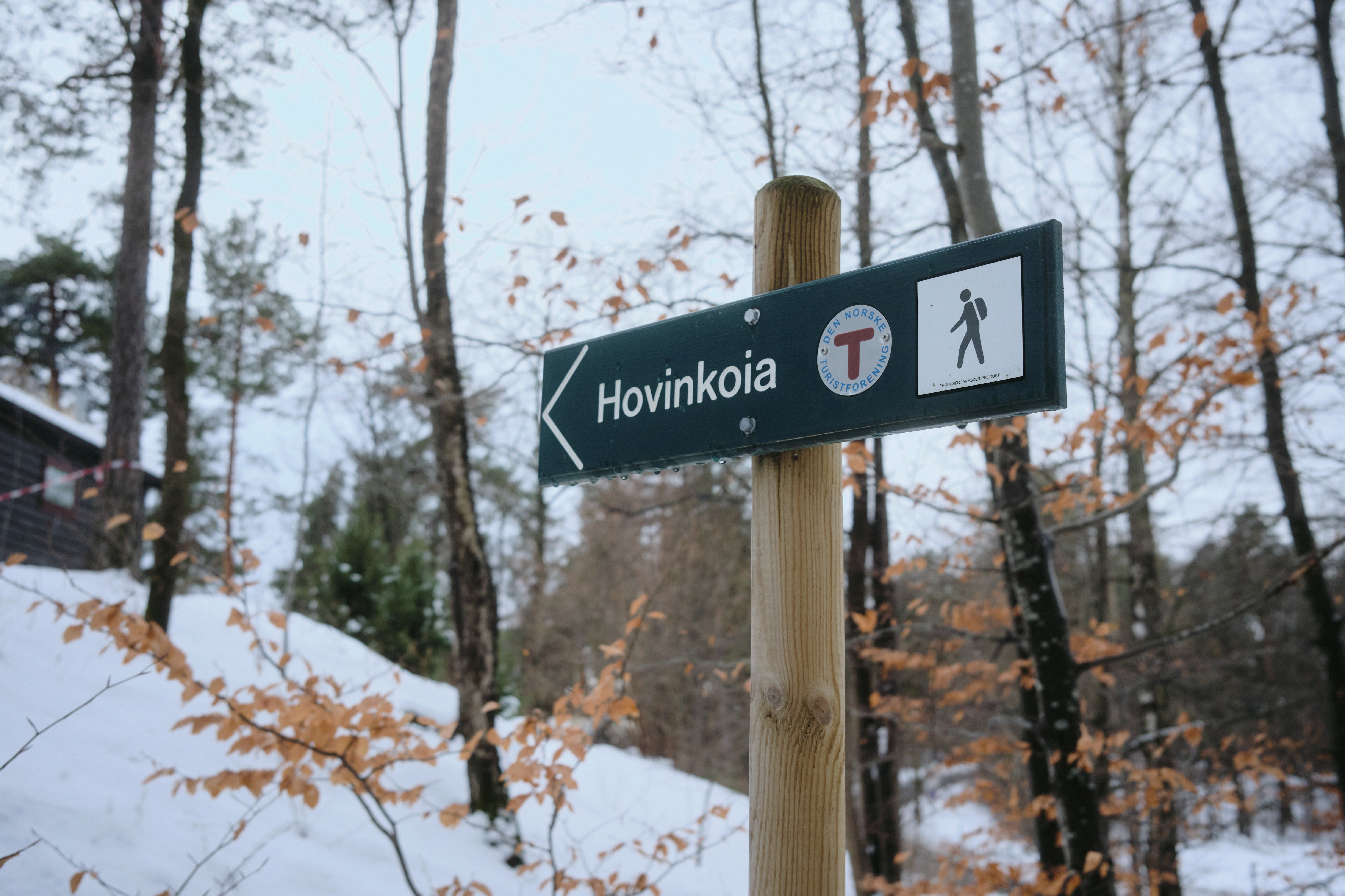 Hovinkoia på Norsk Folkemuseum, Vinterferie 2024
