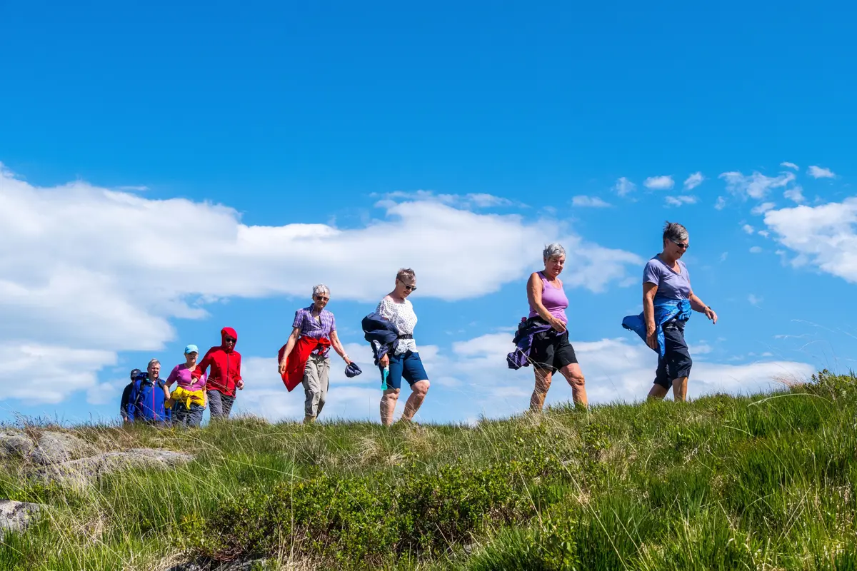 En gruppe mennesker går tur i nydelig sommervær på en grønn mark.
