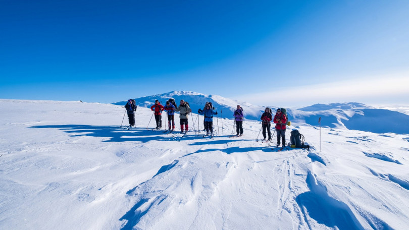 Gruppe skigåere i vakkert vinterlandskap