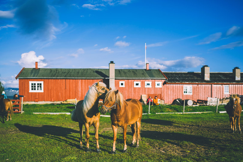 hester som står foran turisthytte