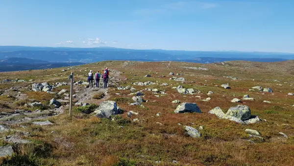 Slåsæterfjellet