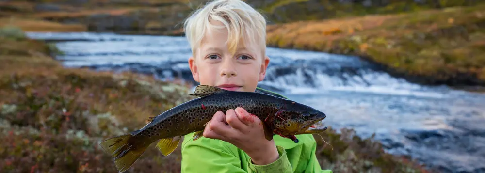 Barn på fisketur til Selhamar i Stølsheimen, september 2017.