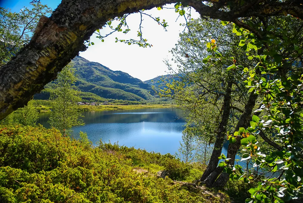 Aurlandsdalen Turisthytte Østerbø