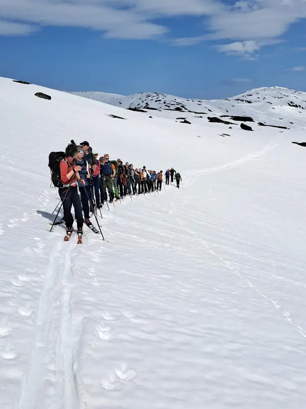 Vikafjellet - Lønahorgi - Bavallen. Sundagstur 05.05.2024