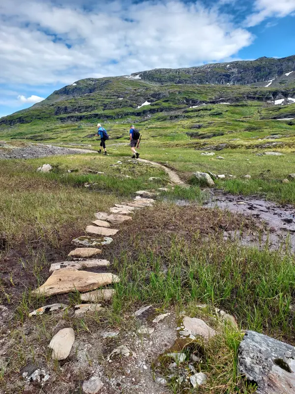 Stidugnad Sendedalen