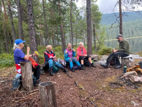 5 mennesker sitter på stubber i skogen, i bakgrunn er det vann