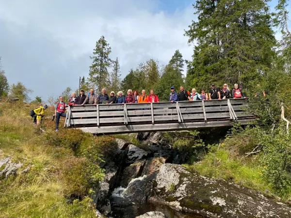 Mennesker som står på en bro i skogen