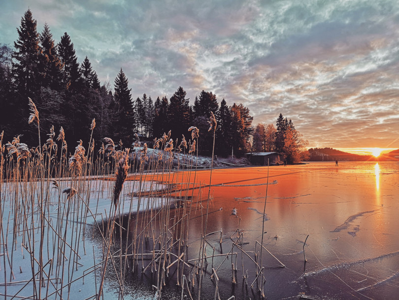 Frost i sivet en iskald desemberdag med skøyteløpere i sollyset. Lille Jonsvatnet, Trondheim