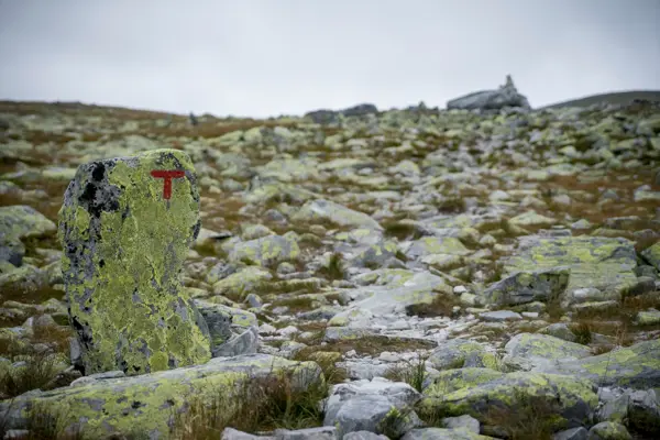 Bilder fra fjellferie 2019.