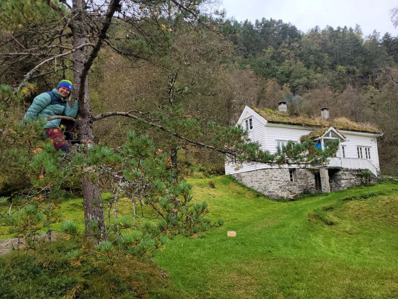 Træet gård, september 2024.
