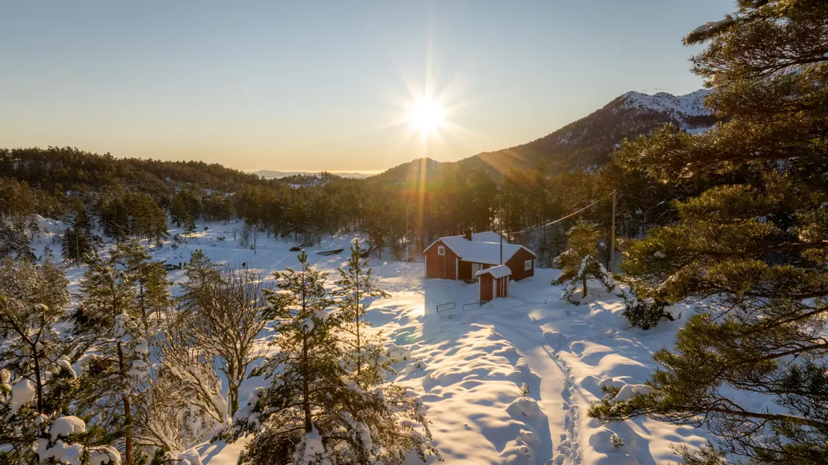 Rødmalt hytte i vinterlandskap med lav sol i horisonten og snøkledde trær.