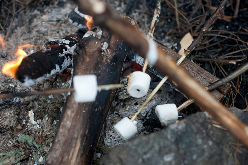Et bål men noen kubber og kvister. Fire pinner med fire marshmallows over glørne.