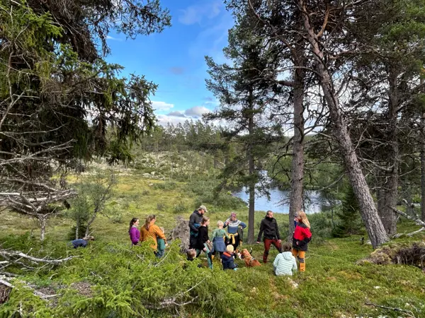 Tur i Langsua nasjonalpark med Barnas turlag