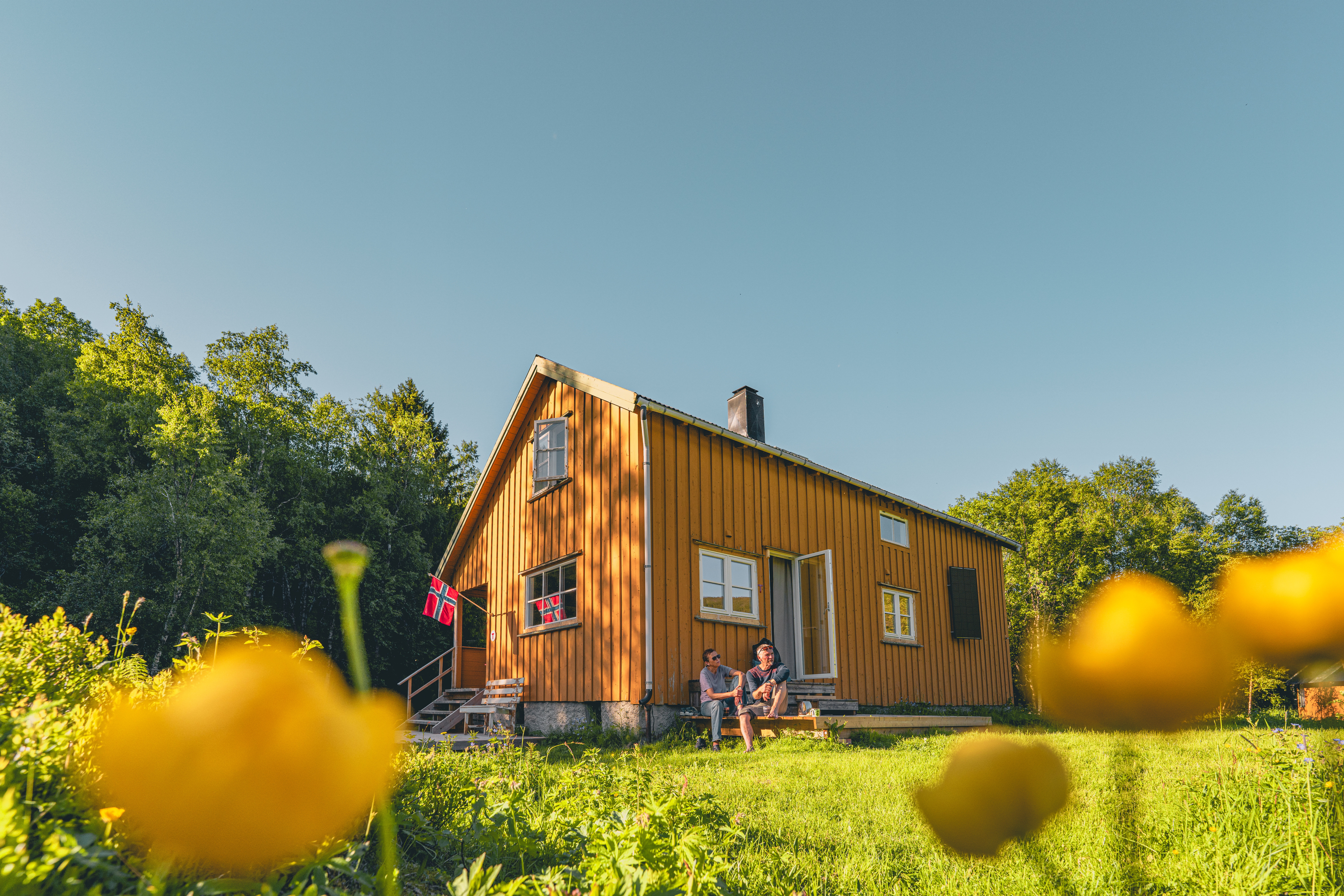 Idyllisk gul hytte i blomstereng
