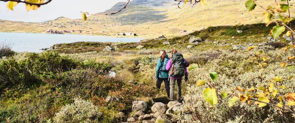 To personer med sekk som går på en sti i grønt fjellterreng