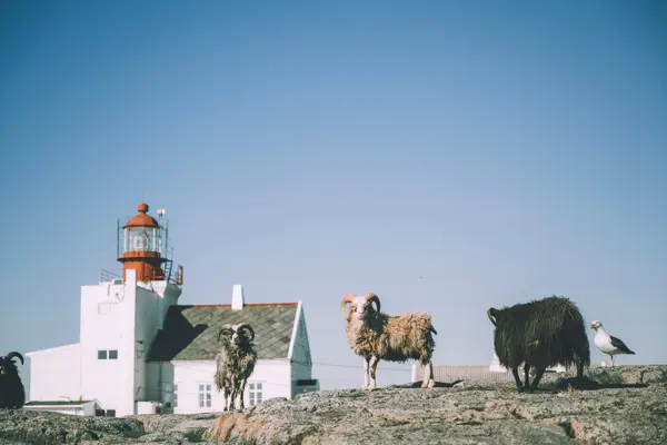 Lyngør fyr