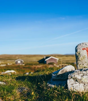 Varde med rød T og hytte i bakgrunnen.