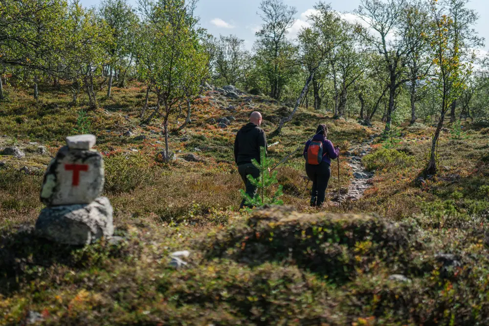 Svukuriset i Femundsmarka