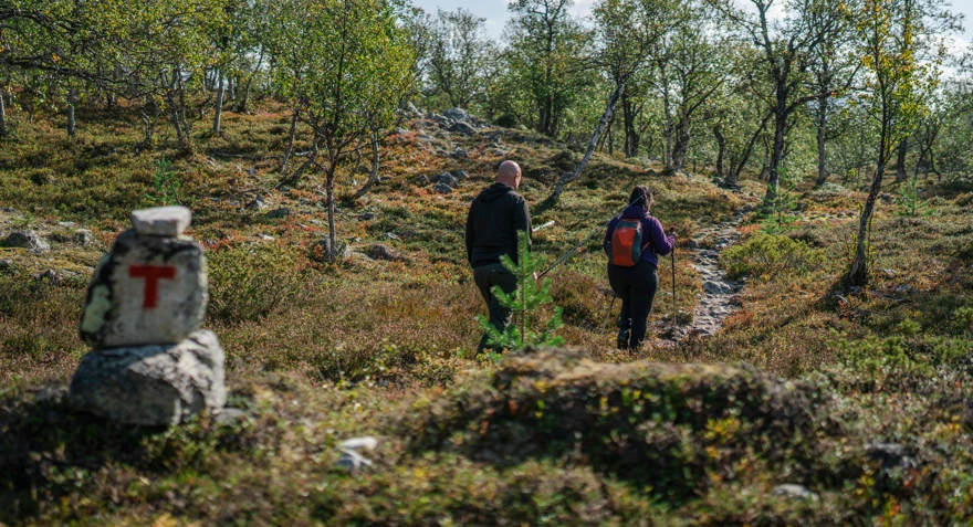 Svukuriset i Femundsmarka