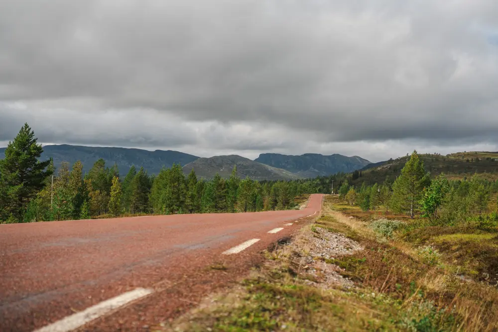 Vei over fjellet med grøftekant og skog og fjell i bakgrunnen.