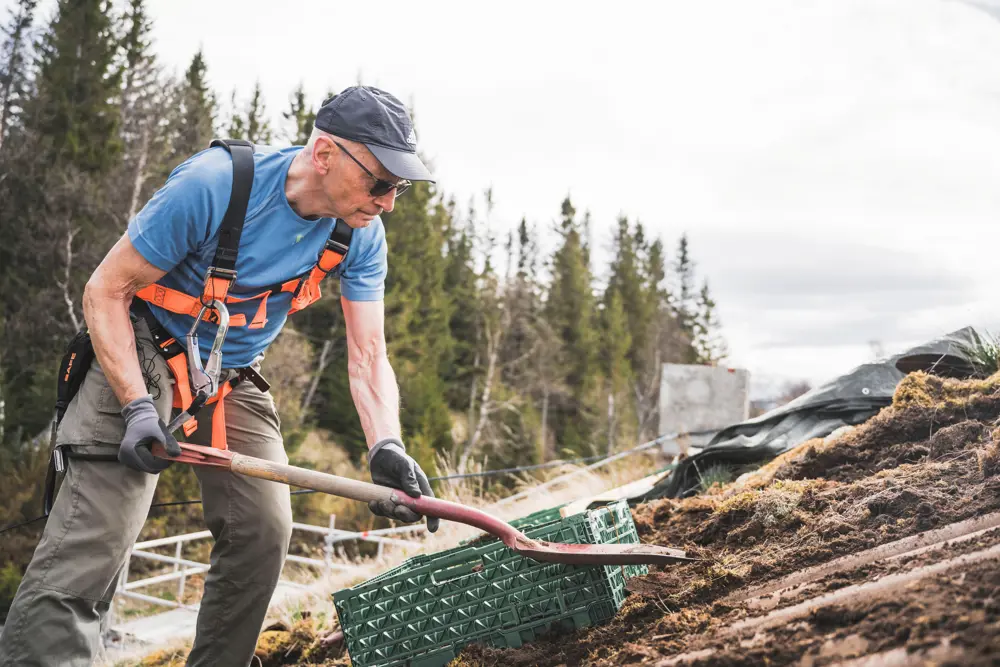 Dugnad på Gjevilvasshytta. Skifting av tak og utskiftning av vinduer.