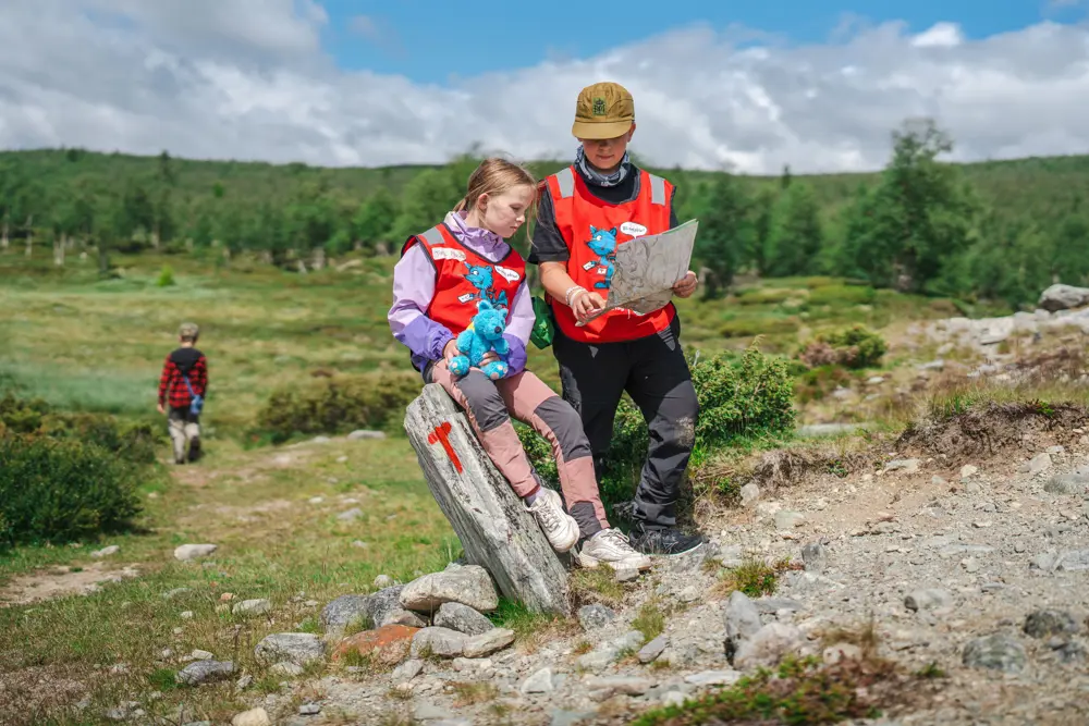 Liomseter og Langsua