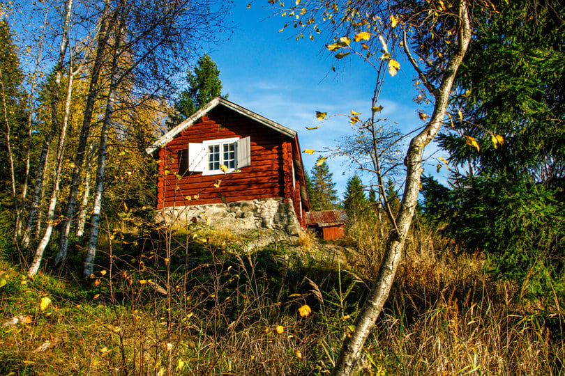En rødmalt hytte i skogen