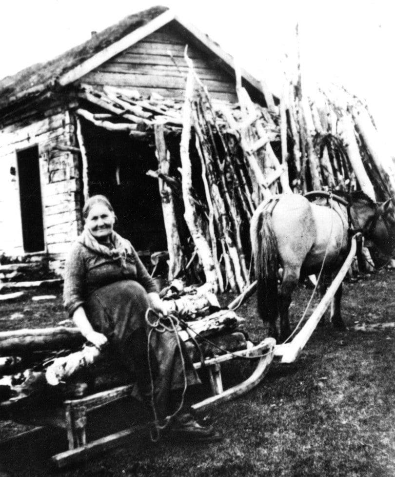 Et gammelt svart-hvitt bilde av ei eldre dame på en slede med tømmer, og en hest foran. Bak står det ei tømmerhytte.