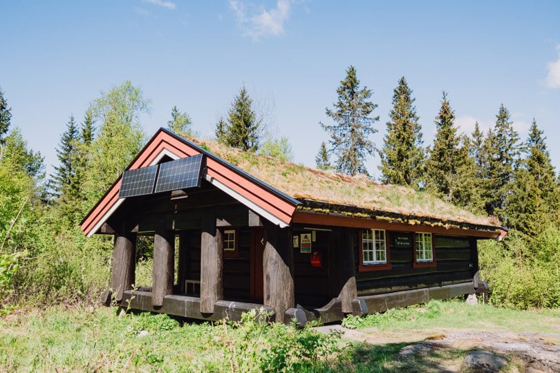 En tømmerkoie i skogen