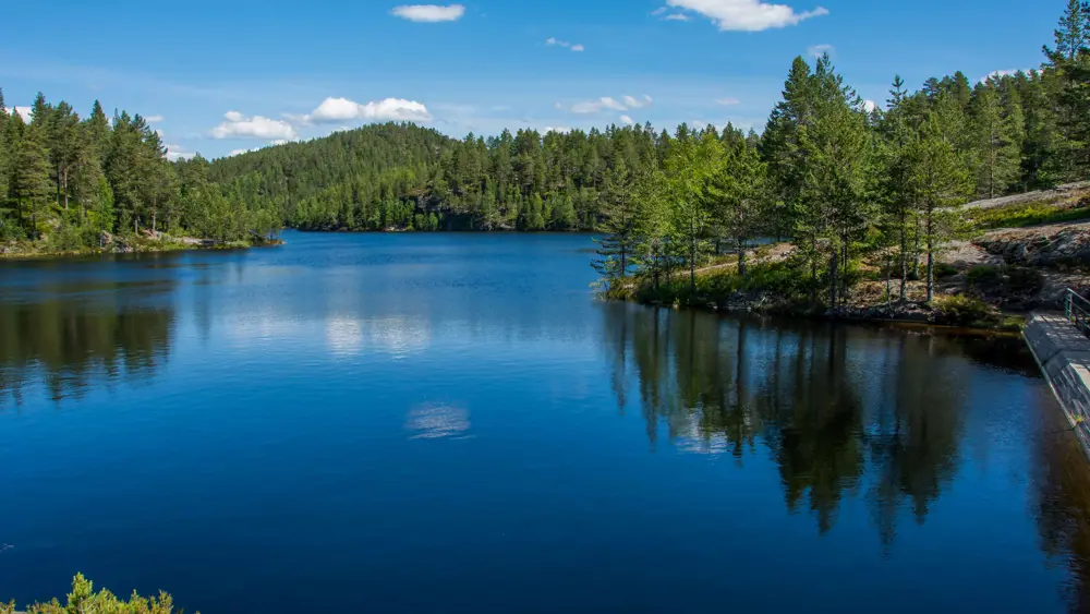 bilde av et mindre vann med granskog rundt. det er blå himmel som som gjenspeiles i vannet