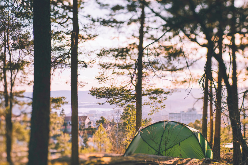 Et telt i skogen